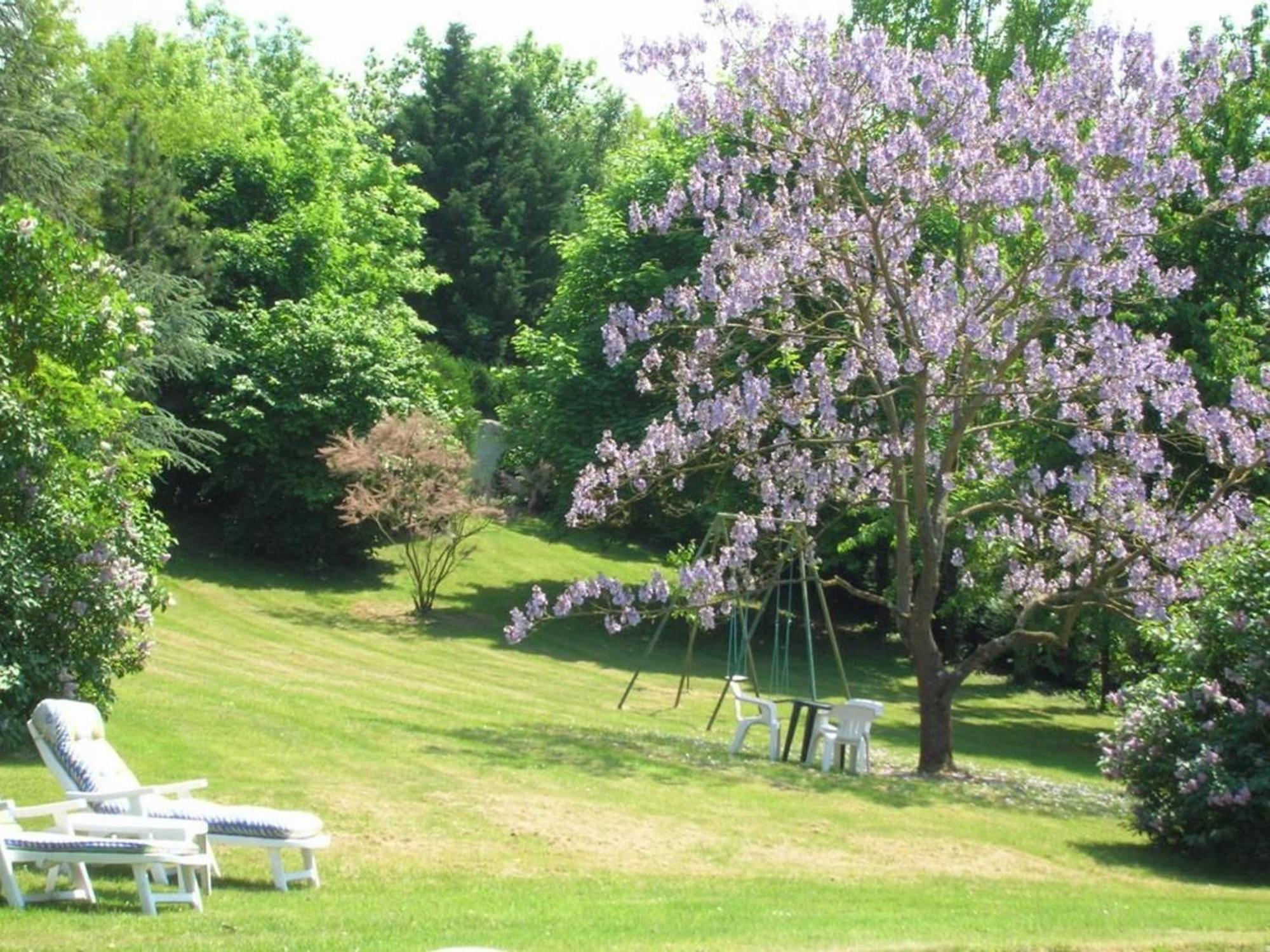 Bed and Breakfast Charme Au Coeur Des Chateaux De La Loire Avec Wifi - Fr-1-590-305 à Tavers Extérieur photo